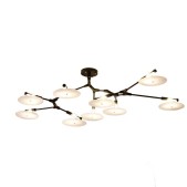 AM6643 BRANCHING DISC