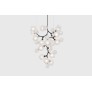 IQ3669 WELLES CENTRAL CHANDELIER