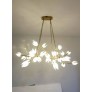 IQ3700 BELLUNO CHANDELIER