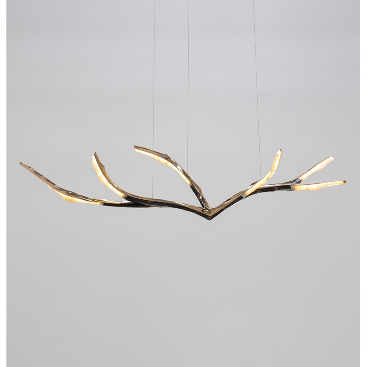 IQ4448 MARKUS HAASE IQ4448 MARKUS HAASE