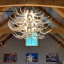 IQ4450 GLASS ANTLER CHANDELIER