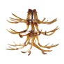 IQ4451 BLOWN GLASS ANTLER CHANDELIER