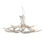 IQ4454 SUPERORDINATE CHANDELIER 6 ANTLERS