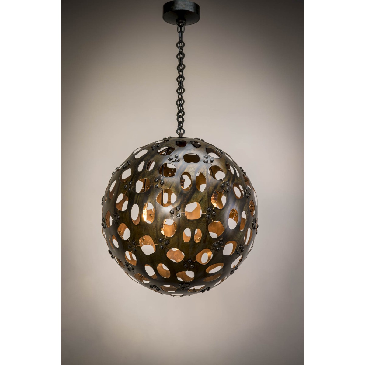 IQ4469 RADIOLARIAN IQ4469 RADIOLARIAN