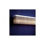 WM113 BROOM PENDULUM