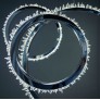 BM1302 HALO RING