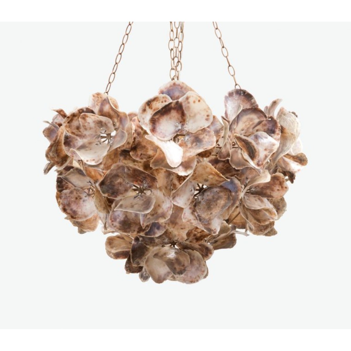 PS1717 FLORET OYSTER SHELL CHANDELIER PS1717 FLORET OYSTER SHELL CHANDELIER
