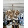 PS1717 FLORET OYSTER SHELL CHANDELIER