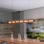 PS9056 COLUMN HORIZONTAL PENDANT
