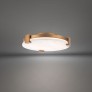 PS9065 CATALONIA CEILING LIGHT