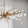 PS1488 FOREST DAWN CHANDELIER
