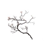 PS1541 ILLUMINATED BRANCH SCULPTURE