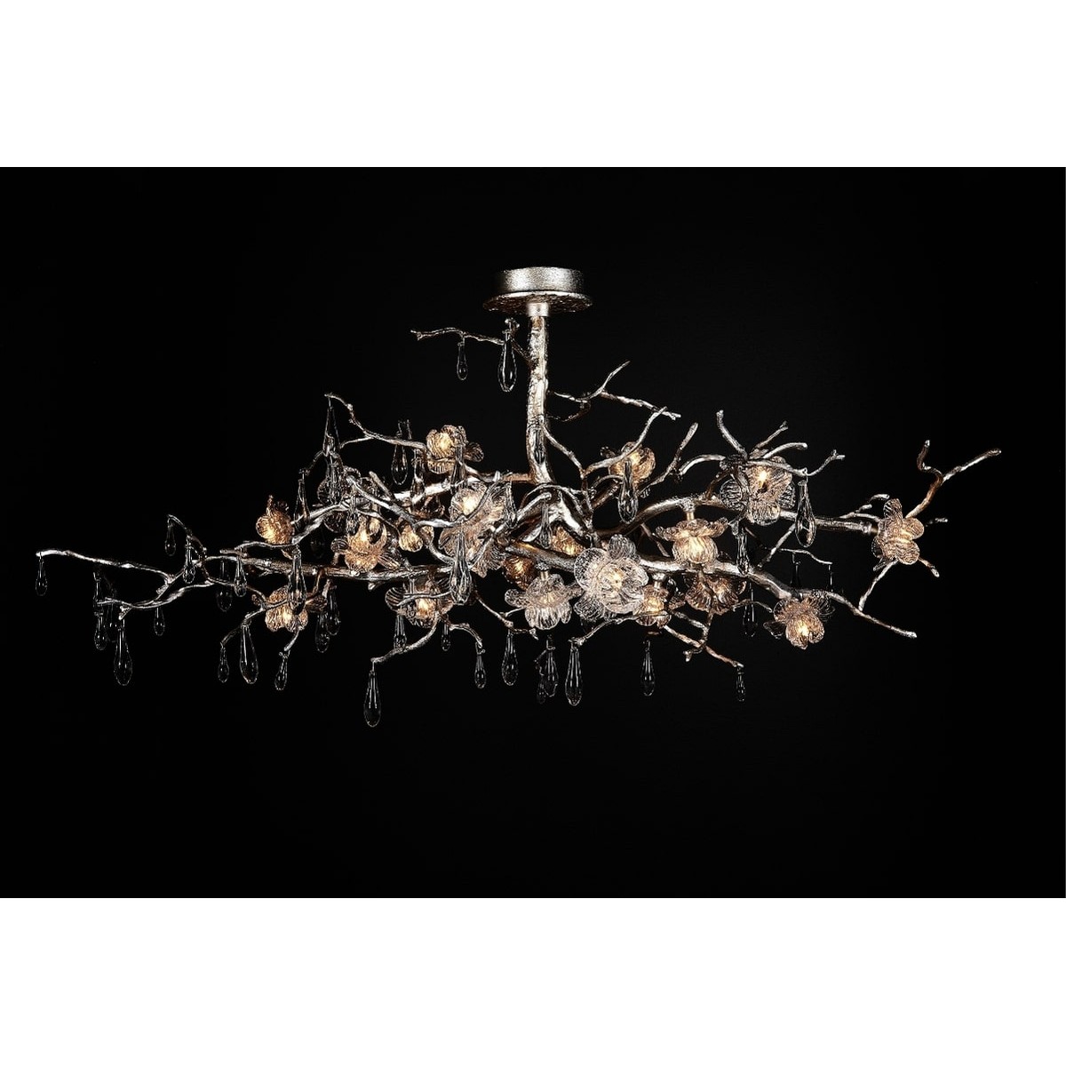 PS1584 VIGNIA II PS1584 VIGNIA II