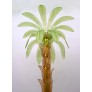 PS1845 AMBER GREEN PALM TREE