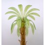 PS1845 AMBER GREEN PALM TREE
