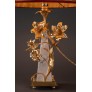 QZ2455 LAMP