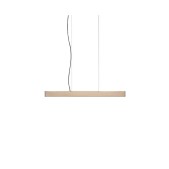 PS1554 2X4 PENDANT