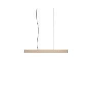 PS1554 2X4 PENDANT