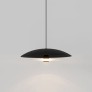 PS1706 CORAL DOME PENDANT LIGHT