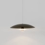PS1706 CORAL DOME PENDANT LIGHT
