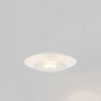 PS1706 CORAL DOME PENDANT LIGHT