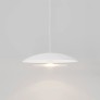 PS1706 CORAL DOME PENDANT LIGHT