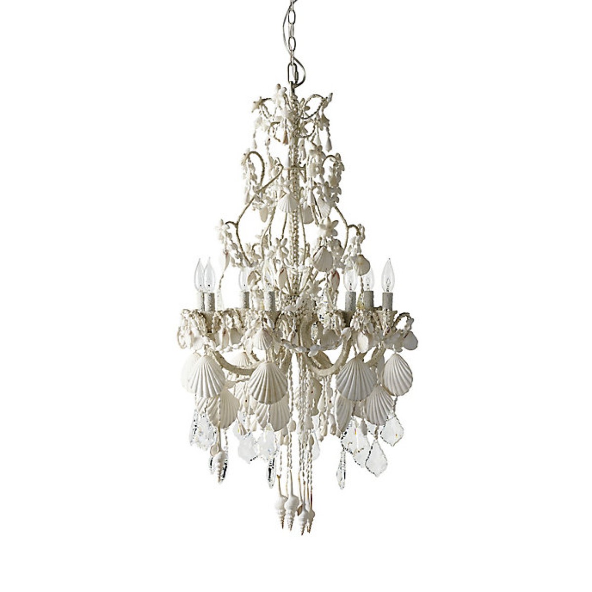 PS1714 HARBOR SHELL CHANDELIER PS1714 HARBOR SHELL CHANDELIER