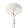 PS1714 HARBOR SHELL CHANDELIER
