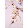 AM1330 BLOSSOM