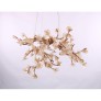DV3953 ALMOND