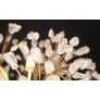 IQ2021 SHPERICAL LIGHT