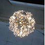 IQ2021 SHPERICAL LIGHT