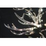 QZ9091 Crystal Deer
