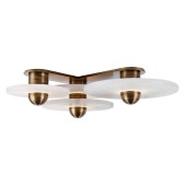 WM2089 Median Chandelier