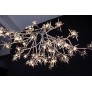 DV5623 BLOOM VIVANT