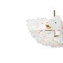 KA1831 Hibiscus