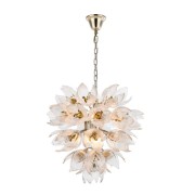 AM962850  DAISY