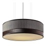 IQ21055 PLAZA ROUND CEILING LAMP