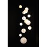 IQ2209 Planets
