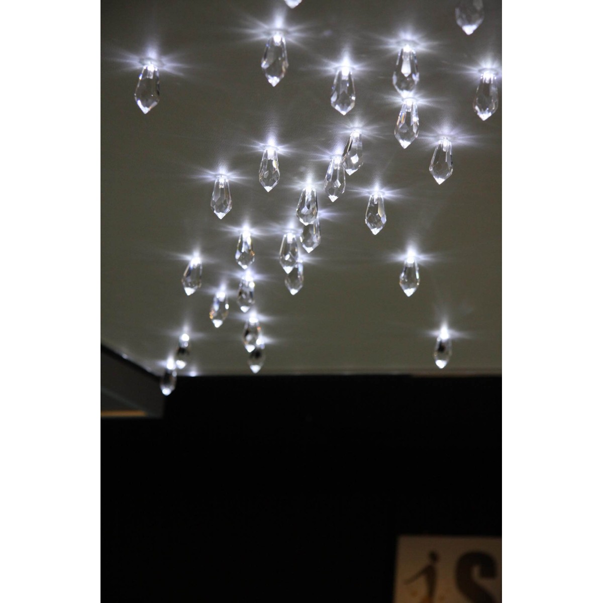 IQ2242 PAMPILLES IQ2242 PAMPILLES