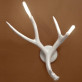 JT215 ANTLERS