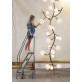 WM2128 LUCIA CHANDELIER