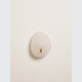 IQ3128 COQUILE SCONCE WALL LIGHT