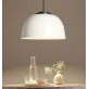 IQ8300 NINA 22" DOME PENDANT