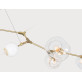 JT267 BRANCHING BURST 